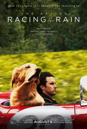 Mi Amigo Enzo (2019) poster